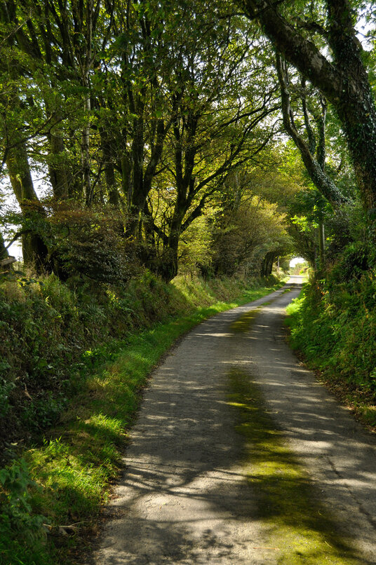 Lane near Tremail