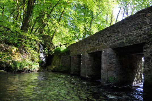 Bridge at Laneast