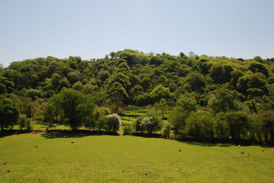 View across Inny Valley from Laneast