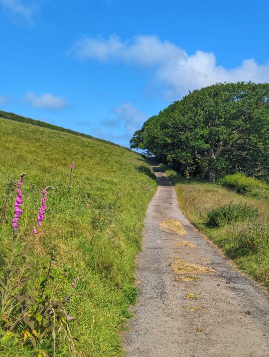 Track from Lanherne Convent