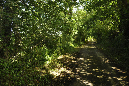 Lane to St Columb