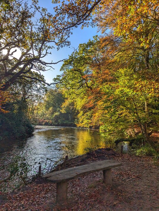 River Fowey at Lanhydrock