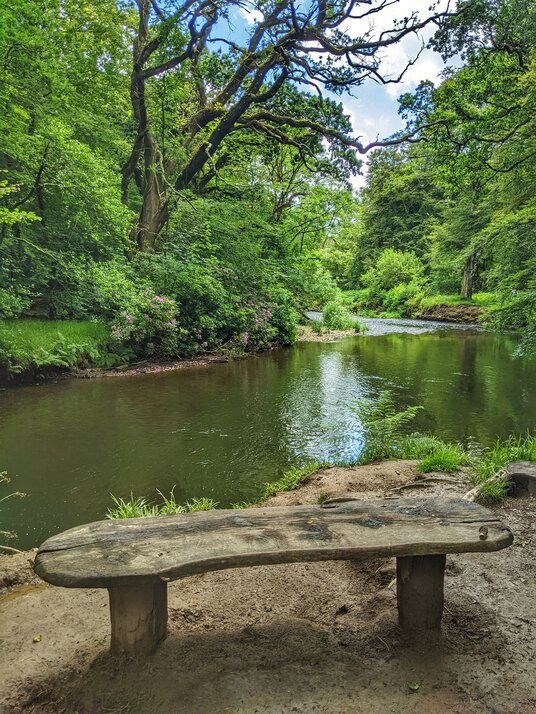 Bench by the River Fowey