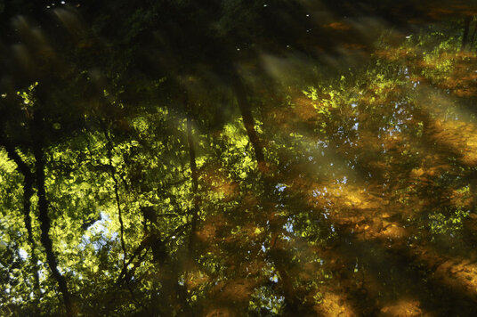 Reflections on the river