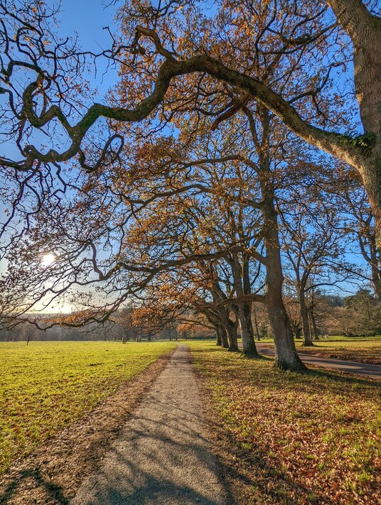 Path to Lanhydrock House