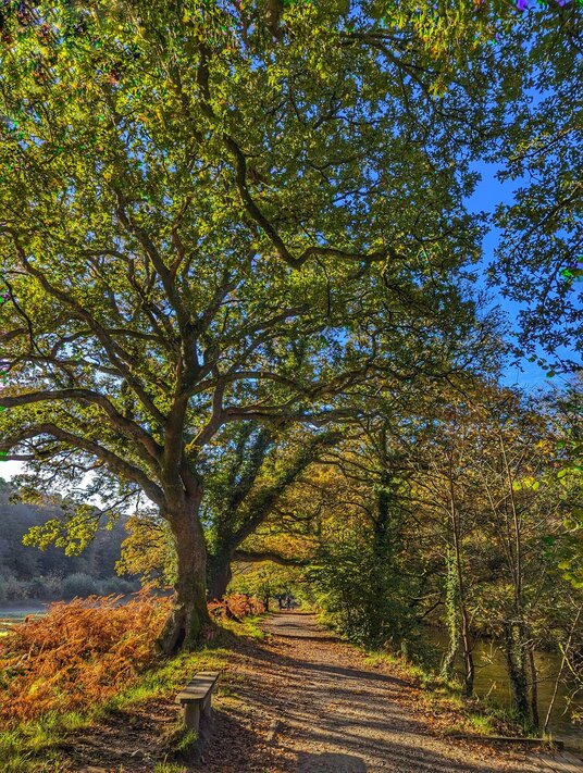 Path along the River Fowey