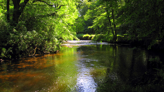River Fowey near Lanhydrock