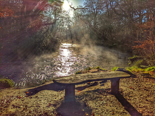 River Fowey at Lanhydrock