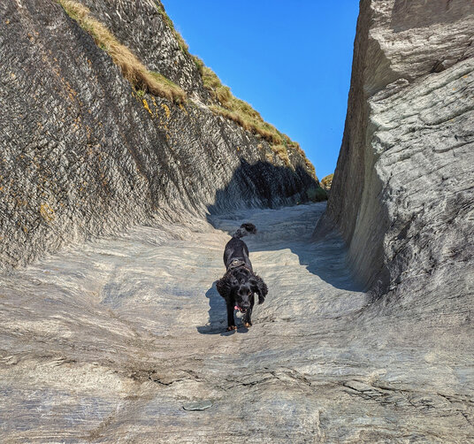 Gully to Lansallos Cove