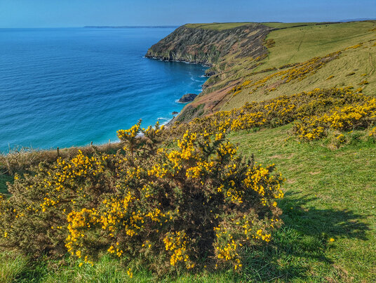 Lantic Bay