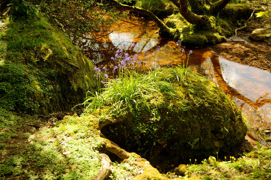 Stream near the railway crossing