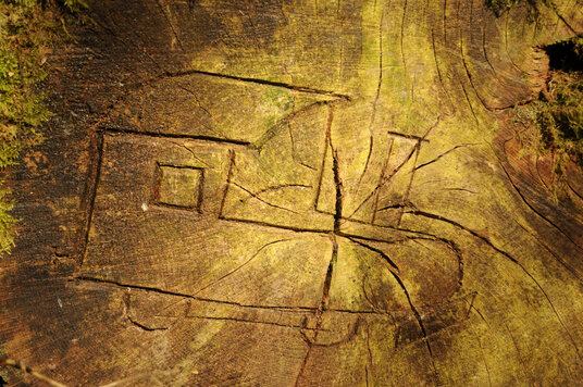 Carved log in Metha Wood