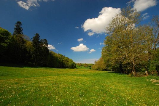 Fields near Lavethan Wood