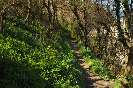 Footpath to Carbis Bay