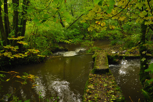 Clapper Bridge at Lemail Mill