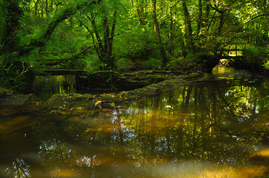 Pool at at Lemail Mill