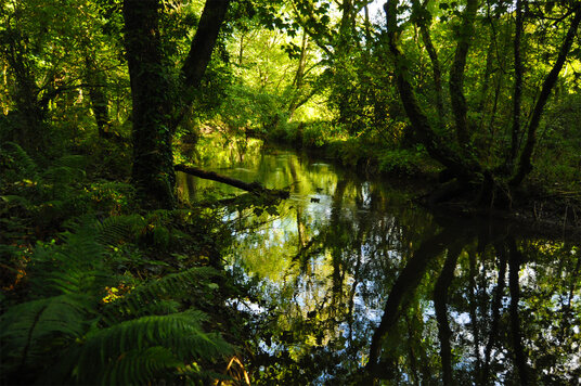 River at Lemail Mill