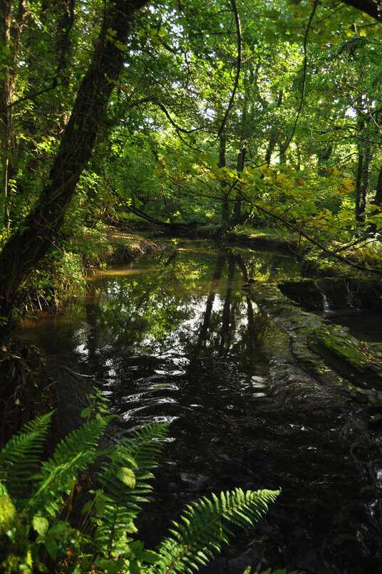 Weir at Lemail Mill