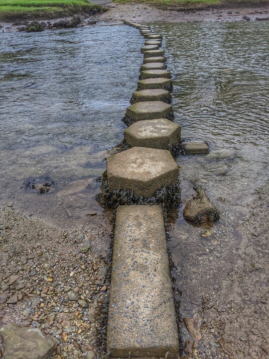 Stepping stones across the river at Lerryn