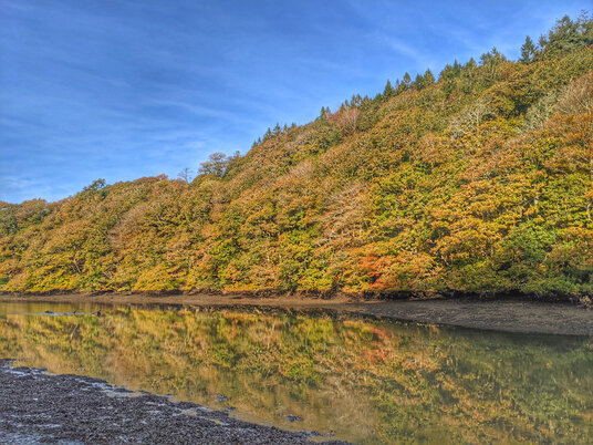 Reflections on the River Lerryn