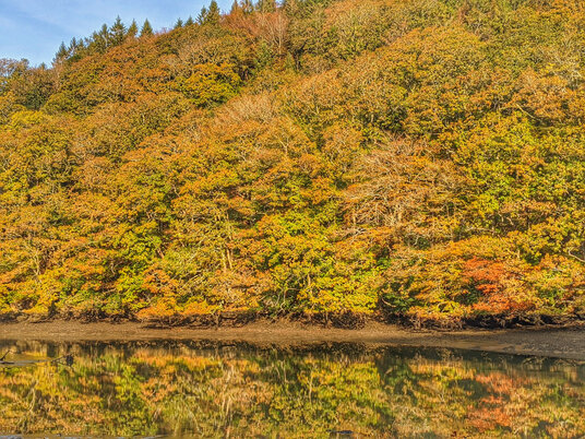 Autumn reflections at Lerryn