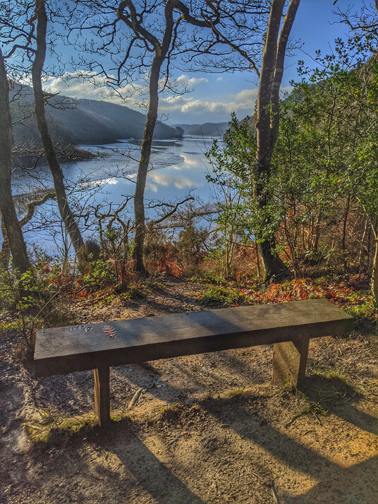 Creek-side bench near Lerryn