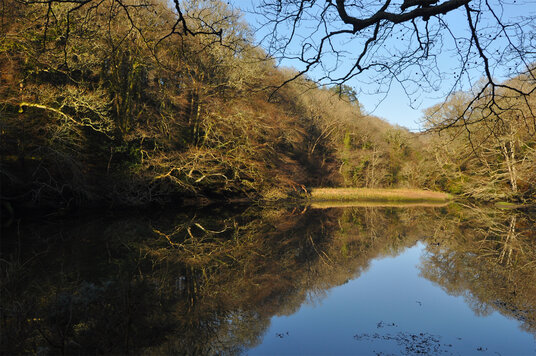 Reflections at Ethy Rock