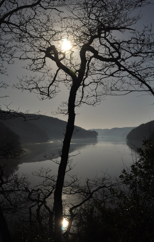 Mist on the creeks in winter