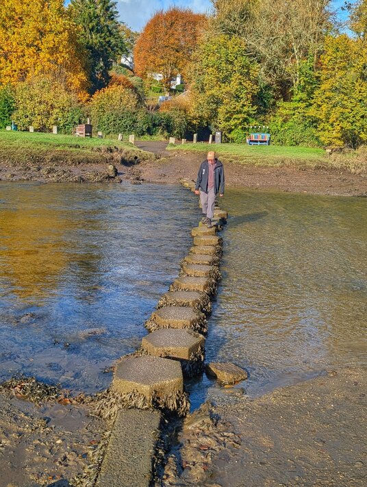 Stepping stones at Lerryn