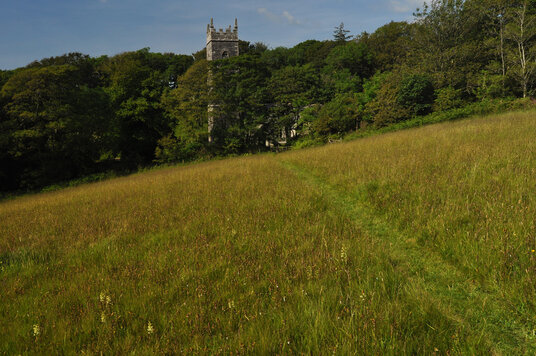 Footpath to the church