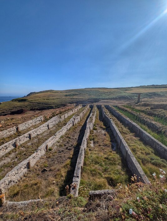 Slime beds at Levant