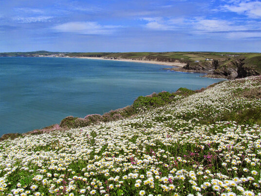 View across Mounts Bay