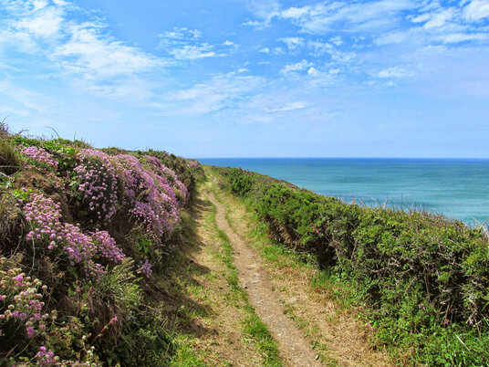 Path to Gunwalloe coves
