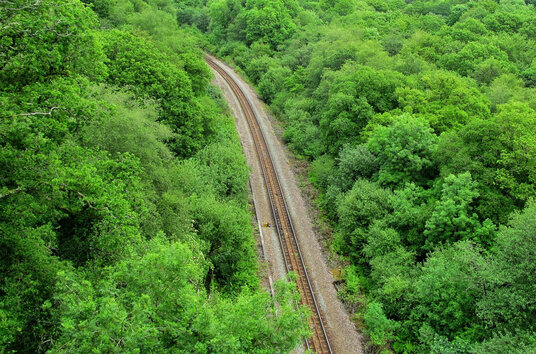 Railway through the Luxulyan Valley