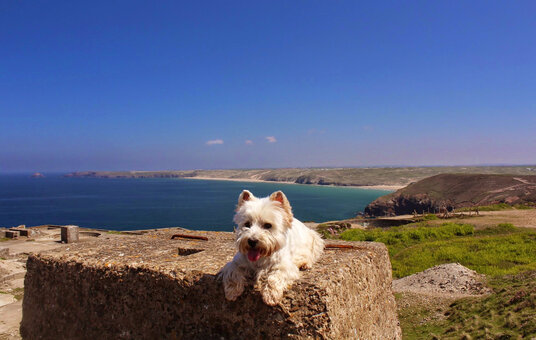 Nobel's explosives works on Cligga Head