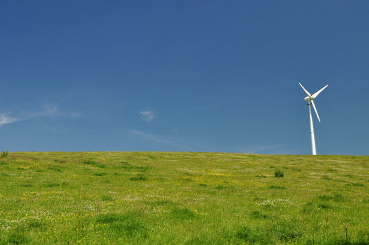 Field near Little Callstock