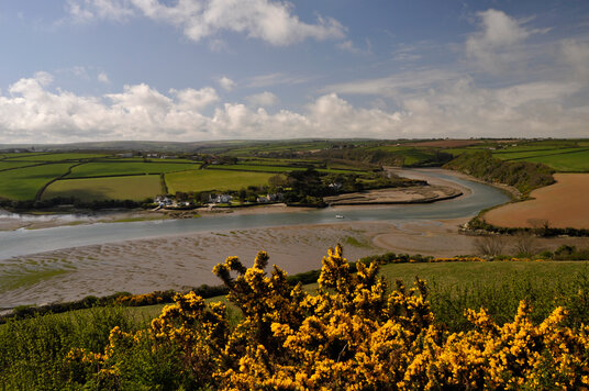 Little Petherick Creek