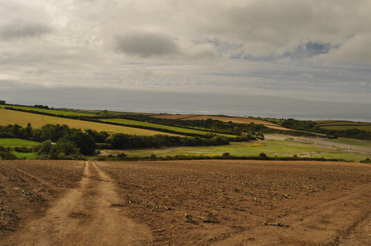 Fields beside Little Petherick Creek