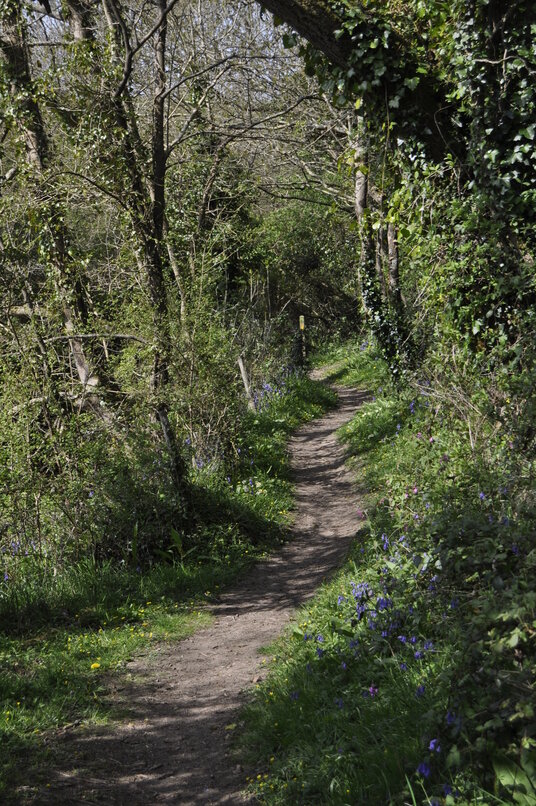 Path around one of the small creeks