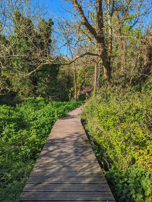 Walkway at Little Trevithick