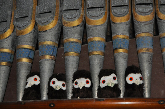 Owls in St Grada church