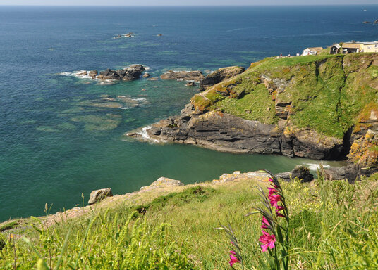 Lizard Point