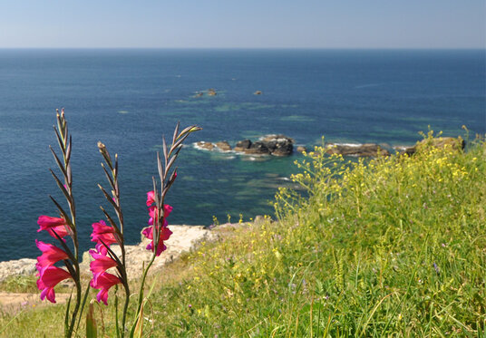 Reef at Lizard Point