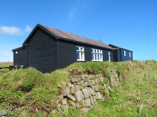 Lizard Wireless Station