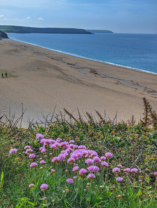 Loe Bar