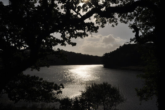 View over the Loe Pool