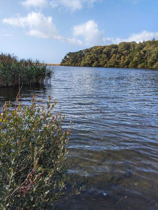 View across the Loe Pool