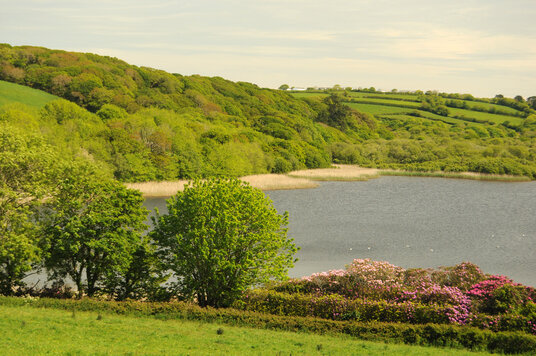 View over the Loe pool