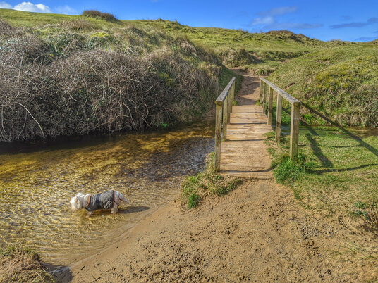 Bridge to St Piran's Oratory