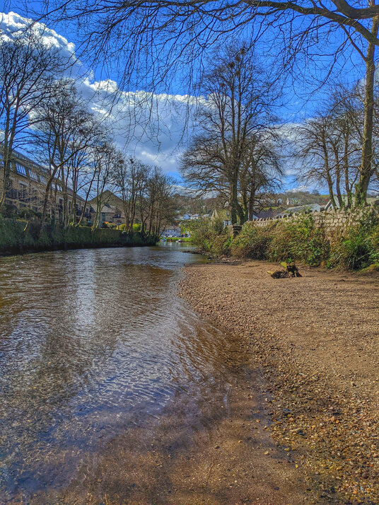 River Fowey at Lostwithiel